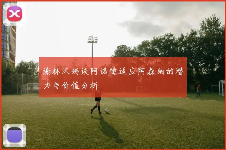 谢林汉姆谈阿诺德适应阿森纳的潜力与价值分析